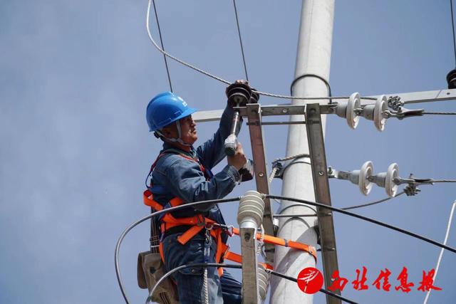 国网渭南供电公司：电网强筋骨春检正当时(图2)